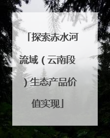 探索赤水河流域（云南段）生态产品价值实现