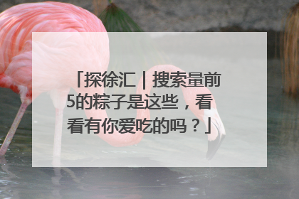 探徐汇｜搜索量前5的粽子是这些，看看有你爱吃的吗？