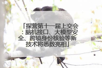 探营第十一届上交会：脑机接口、大模型安全、跨境身份核验等新技术将悉数亮相