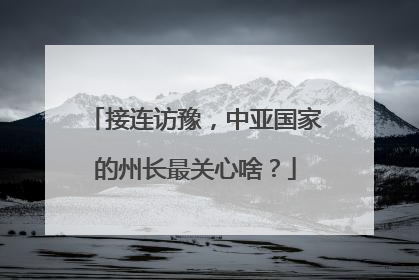 接连访豫，中亚国家的州长最关心啥？