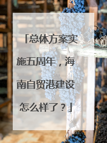 总体方案实施五周年，海南自贸港建设怎么样了？