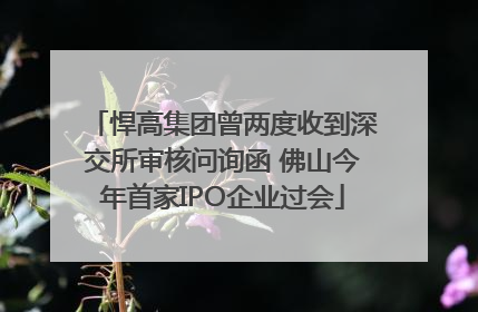 悍高集团曾两度收到深交所审核问询函 佛山今年首家IPO企业过会
