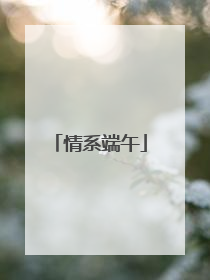 情系端午
