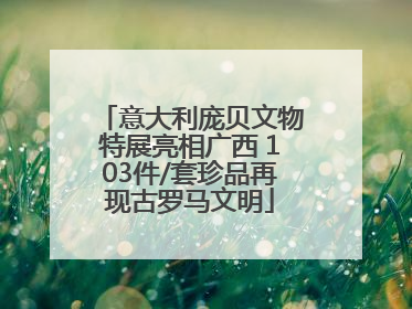 意大利庞贝文物特展亮相广西 103件/套珍品再现古罗马文明