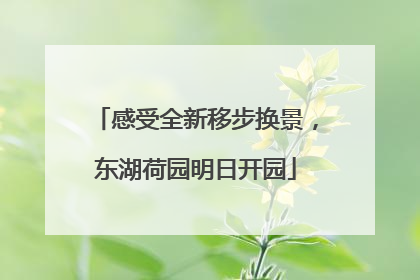 感受全新移步换景，东湖荷园明日开园
