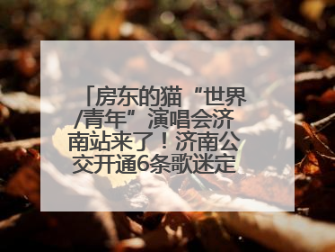 房东的猫“世界/青年”演唱会济南站来了！济南公交开通6条歌迷定制专线