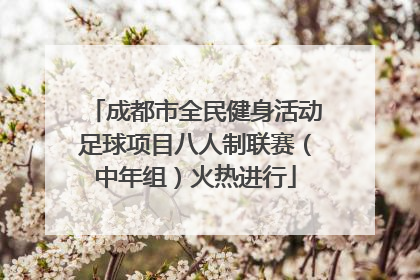 成都市全民健身活动足球项目八人制联赛（中年组）火热进行