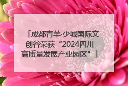 成都青羊·少城国际文创谷荣获“2024四川高质量发展产业园区”