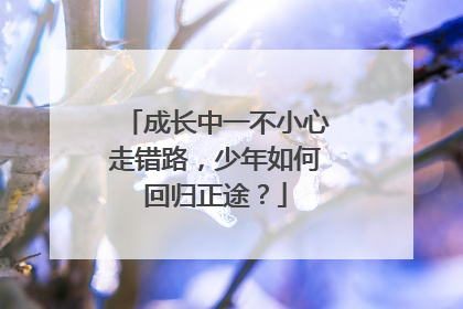 成长中一不小心走错路，少年如何回归正途？
