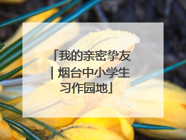 我的亲密挚友｜烟台中小学生习作园地