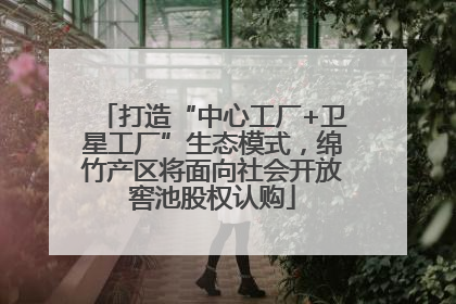 打造“中心工厂+卫星工厂”生态模式，绵竹产区将面向社会开放窖池股权认购