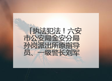 执法犯法！六安市公安局金安分局孙岗派出所原指导员、一级警长刘军被“双开”