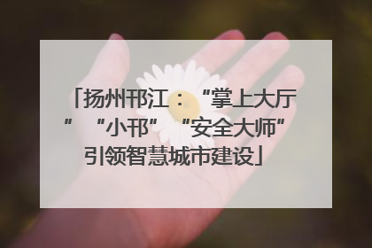 扬州邗江：“掌上大厅”“小邗”“安全大师”引领智慧城市建设