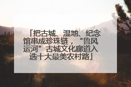 把古城、湿地、纪念馆串成珍珠链，“鲁风运河”古城文化廊道入选十大最美农村路