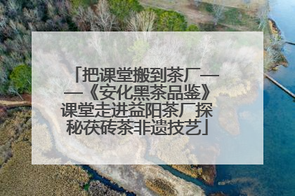 把课堂搬到茶厂——《安化黑茶品鉴》课堂走进益阳茶厂探秘茯砖茶非遗技艺