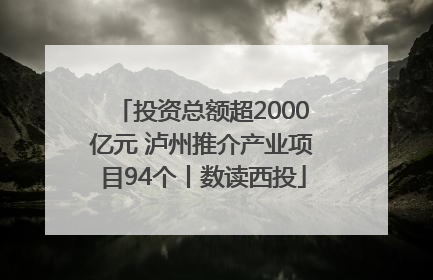 投资总额超2000亿元 泸州推介产业项目94个丨数读西投