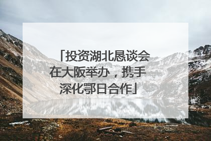 投资湖北恳谈会在大阪举办，携手深化鄂日合作
