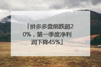拼多多盘前跌超20%，第一季度净利润下降45%