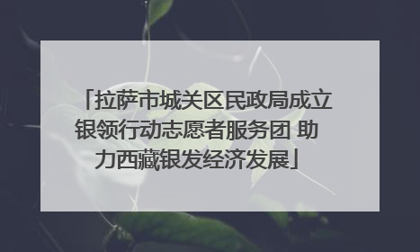 拉萨市城关区民政局成立银领行动志愿者服务团 助力西藏银发经济发展