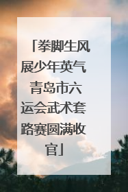 拳脚生风展少年英气 青岛市六运会武术套路赛圆满收官