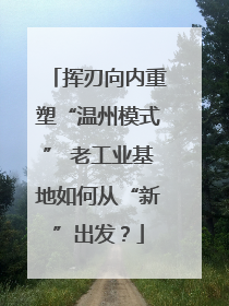 挥刃向内重塑“温州模式” 老工业基地如何从“新”出发？