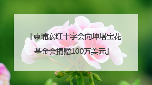 柬埔寨红十字会向坤塔宝花基金会捐赠100万美元
