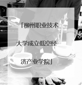柳州职业技术大学成立低空经济产业学院
