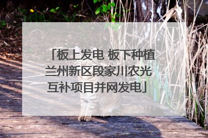 板上发电 板下种植 兰州新区段家川农光互补项目并网发电