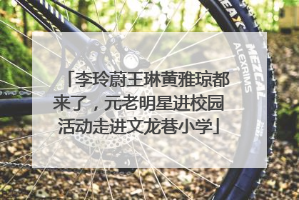 李玲蔚王琳黄雅琼都来了，元老明星进校园活动走进文龙巷小学