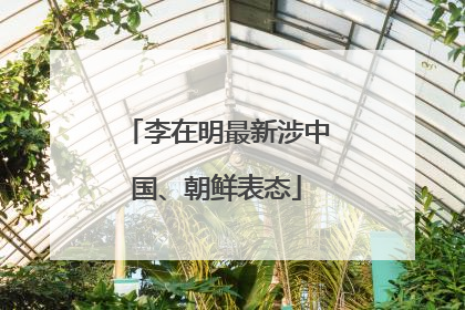 李在明最新涉中国、朝鲜表态