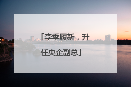 李季履新，升任央企副总