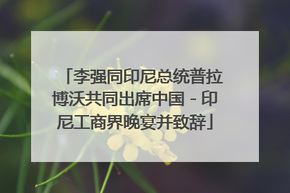 李强同印尼总统普拉博沃共同出席中国－印尼工商界晚宴并致辞