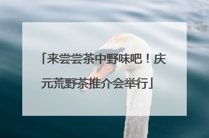 来尝尝茶中野味吧！庆元荒野茶推介会举行