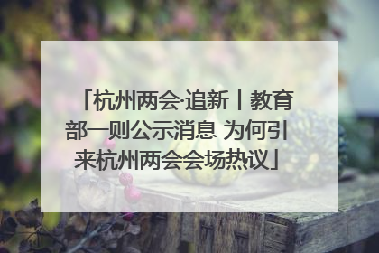 杭州两会·追新丨教育部一则公示消息 为何引来杭州两会会场热议