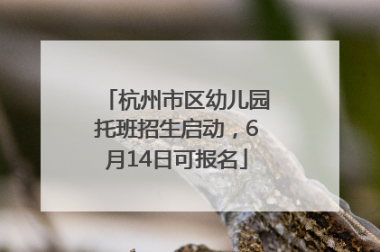 杭州市区幼儿园托班招生启动，6月14日可报名