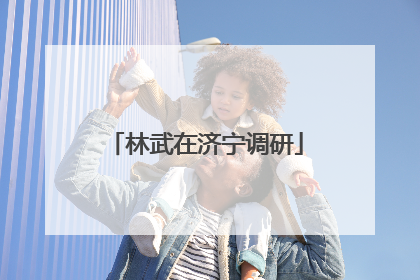 林武在济宁调研