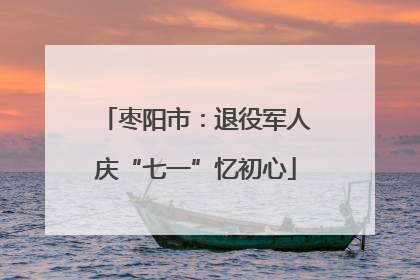 枣阳市：退役军人庆“七一”忆初心