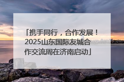 携手同行，合作发展！2025山东国际友城合作交流周在济南启动