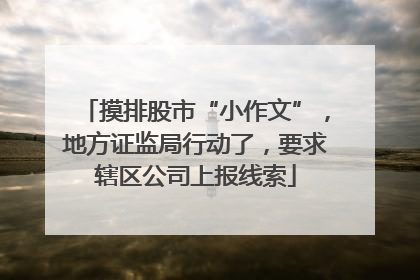 摸排股市“小作文”，地方证监局行动了，要求辖区公司上报线索