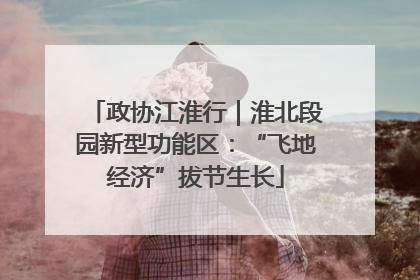 政协江淮行｜淮北段园新型功能区：“飞地经济”拔节生长