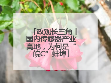 政观长三角丨国内传感器产业高地，为何是“皖C”蚌埠