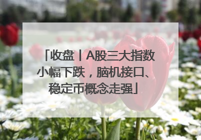 收盘丨A股三大指数小幅下跌，脑机接口、稳定币概念走强