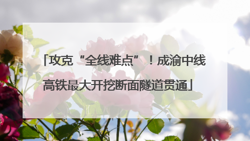 攻克“全线难点”！成渝中线高铁最大开挖断面隧道贯通