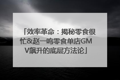 效率革命：揭秘零食很忙&赵一鸣零食单店GMV飙升的底层方法论