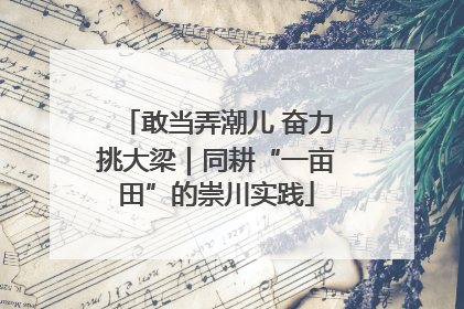 敢当弄潮儿 奋力挑大梁｜同耕“一亩田”的崇川实践