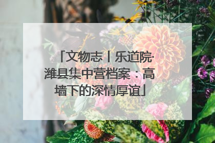 文物志丨乐道院·潍县集中营档案：高墙下的深情厚谊