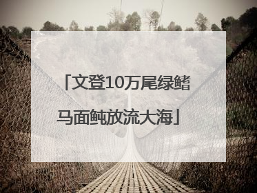 文登10万尾绿鳍马面鲀放流大海