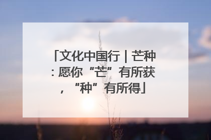文化中国行｜芒种：愿你“芒”有所获，“种”有所得