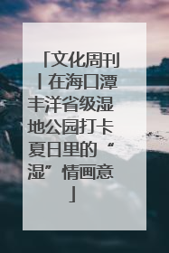 文化周刊丨在海口潭丰洋省级湿地公园打卡夏日里的“湿”情画意
