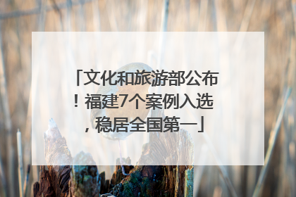 文化和旅游部公布！福建7个案例入选，稳居全国第一